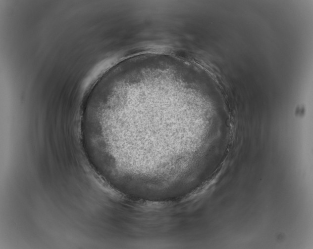 X0000091920149200709261650