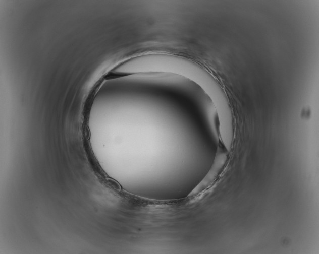 X0000091920150200709261650
