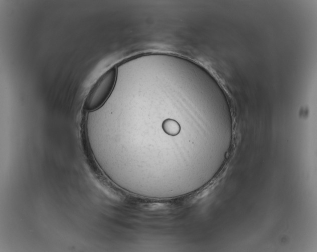 X0000091920151200709261650