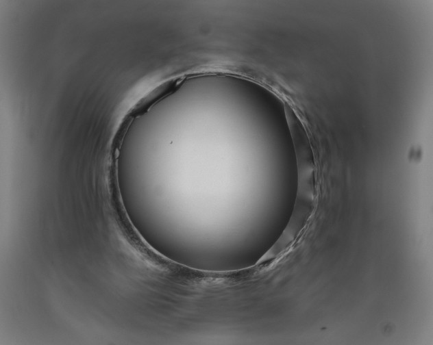X0000091920152200709261650
