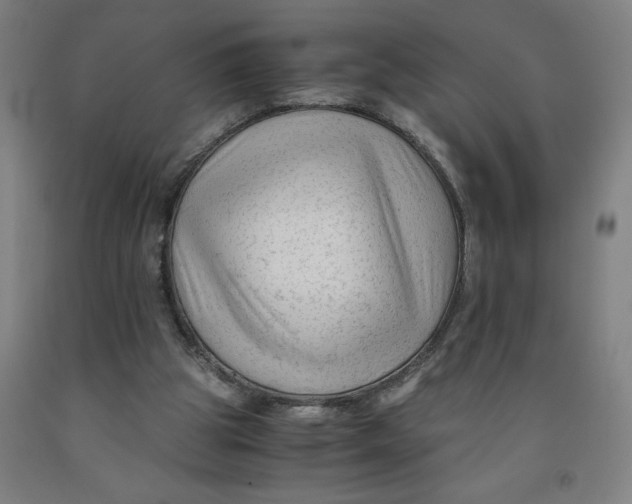 X0000091920153200709261650