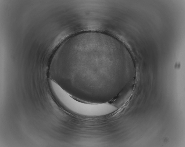 X0000091920154200709261650