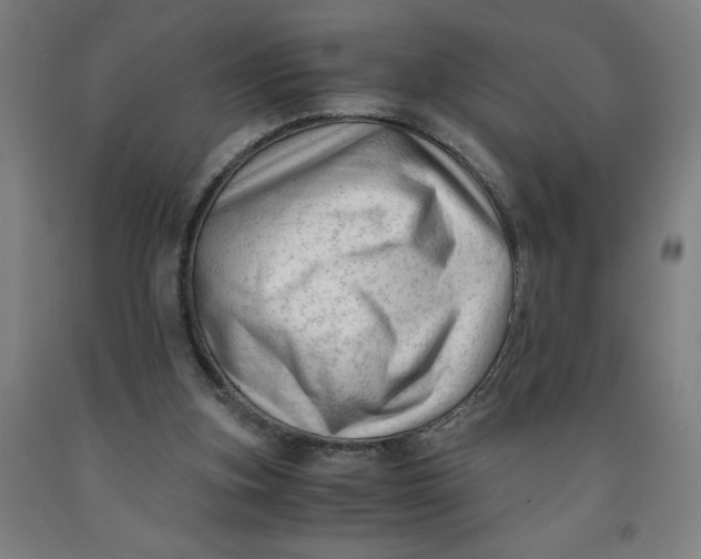 X0000091920155200709261650