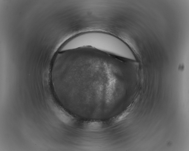 X0000091920156200709261650