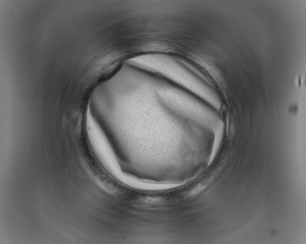 X0000091920157200709261650