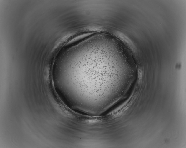 X0000091920158200709261650