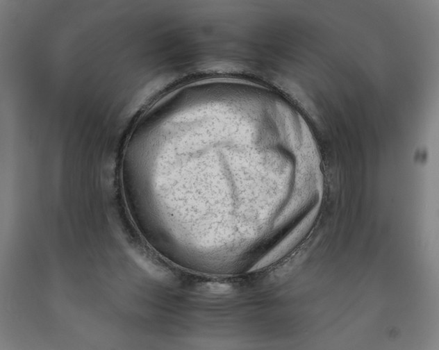 X0000091920159200709261650