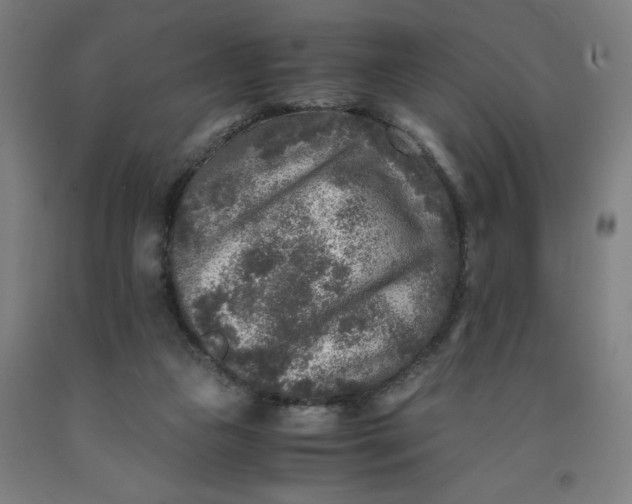 X0000091920161200709261650
