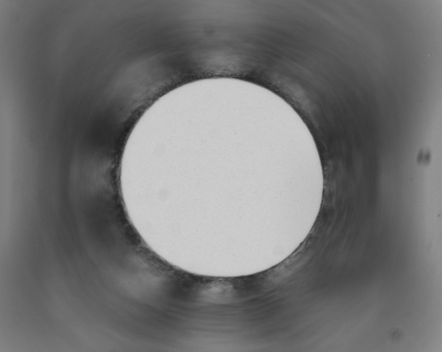 X0000091920162200709261650