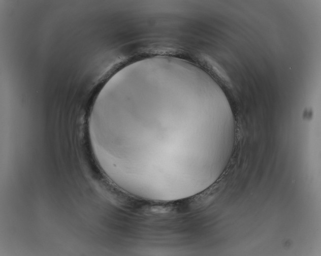 X0000091920163200709261650