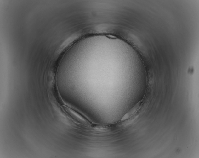 X0000091920164200709261650
