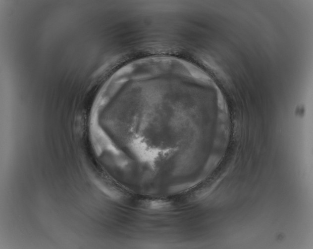 X0000091920165200709261650