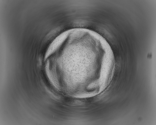 X0000091920166200709261650
