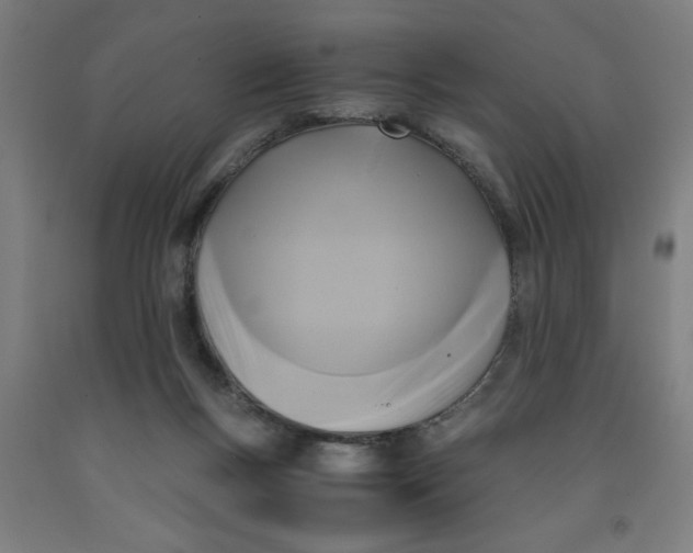 X0000091920167200709261650