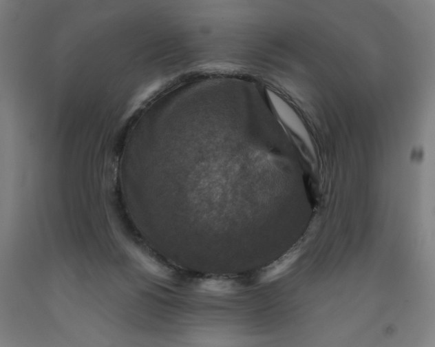 X0000091920168200709261650