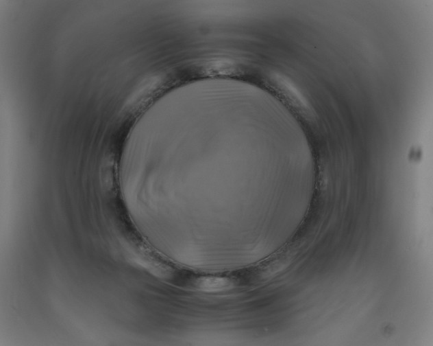 X0000091920169200709261650