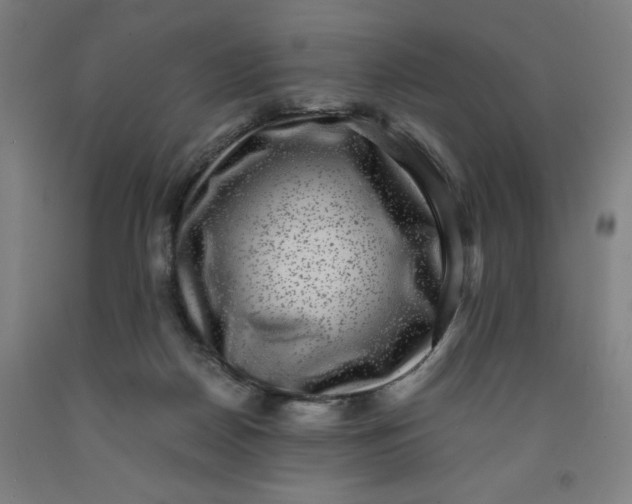 X0000091920170200709261650