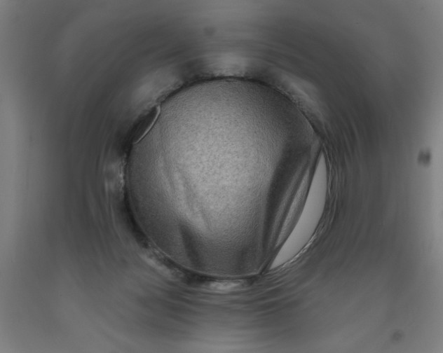X0000091920172200709261650