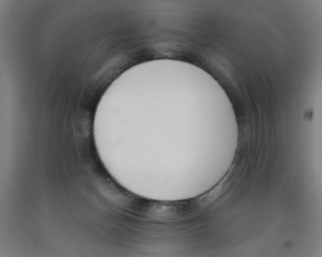 X0000091920174200709261650