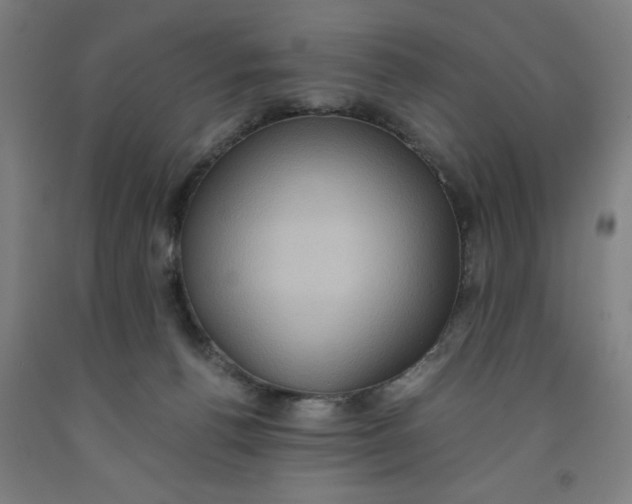 X0000091920176200709261650