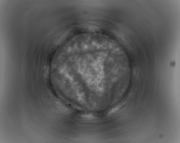 X0000091920177200709261650
