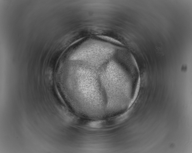 X0000091920178200709261650