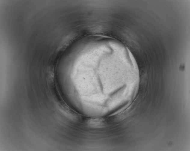 X0000091920179200709261650