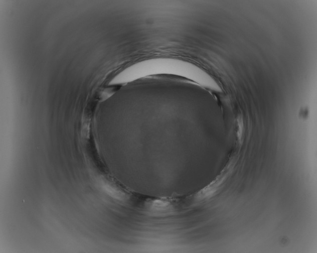 X0000091920180200709261650