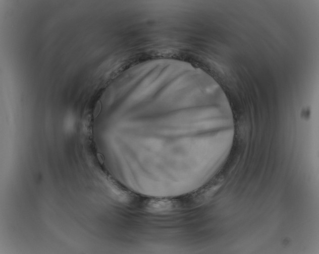 X0000091920181200709261650