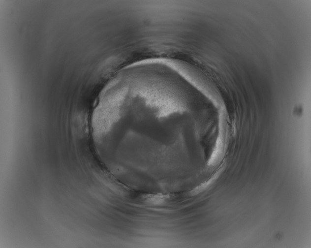 X0000091920182200709261650
