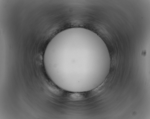 X0000091920183200709261650