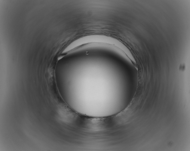X0000091920184200709261650