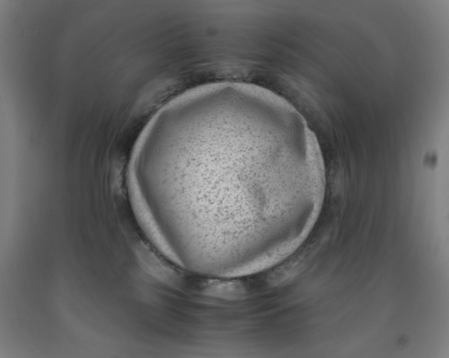 X0000091920185200709261650