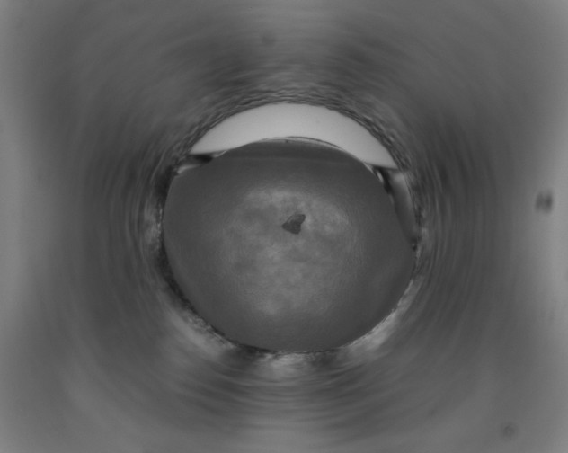 X0000091920186200709261650