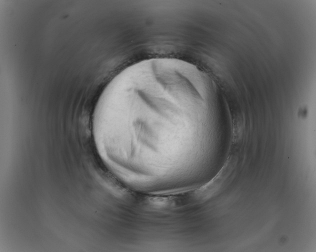 X0000091920187200709261650