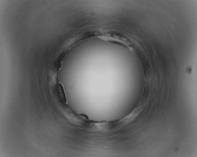 X0000091920188200709261650