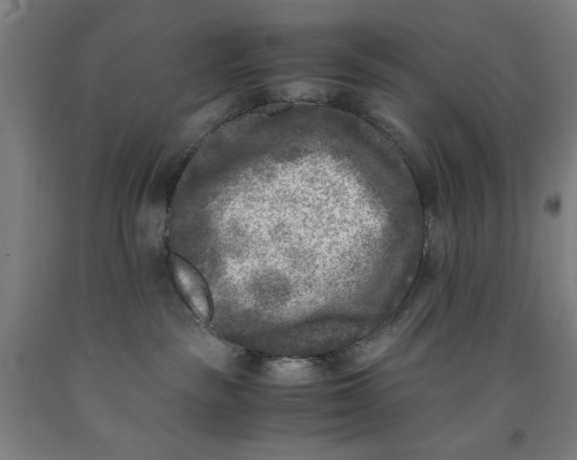 X0000091920189200709261650