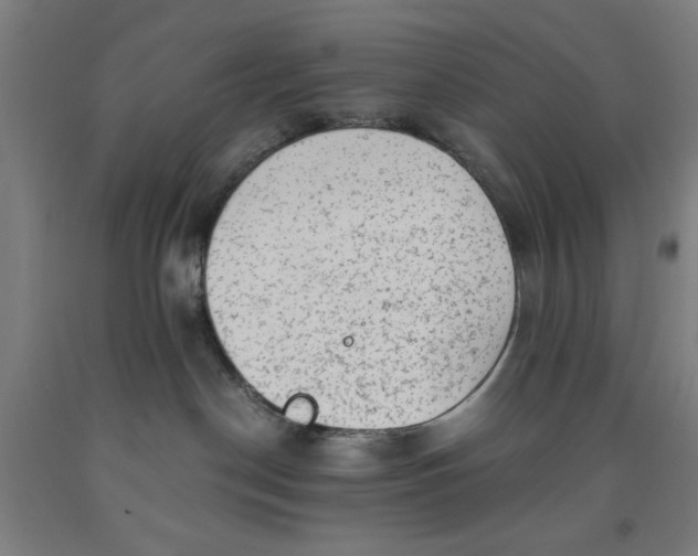 X0000091920190200709261650