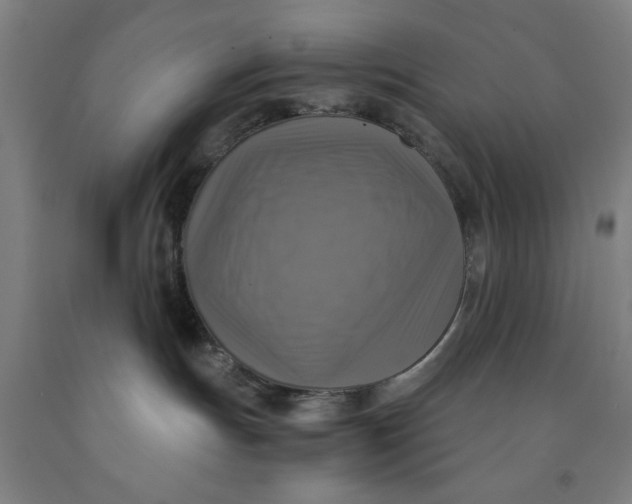 X0000091920191200709261650