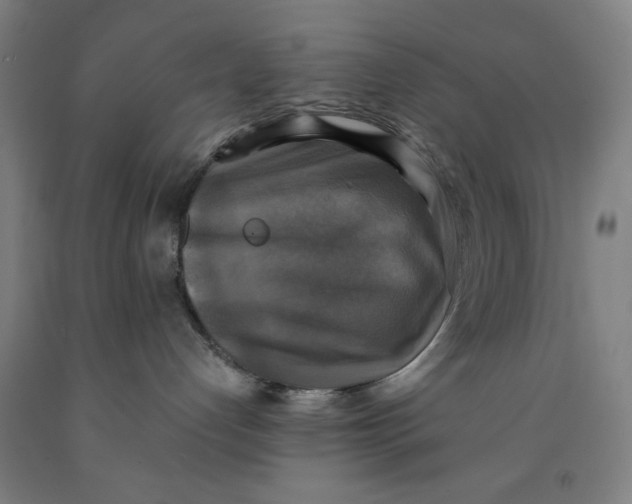 X0000091920192200709261650