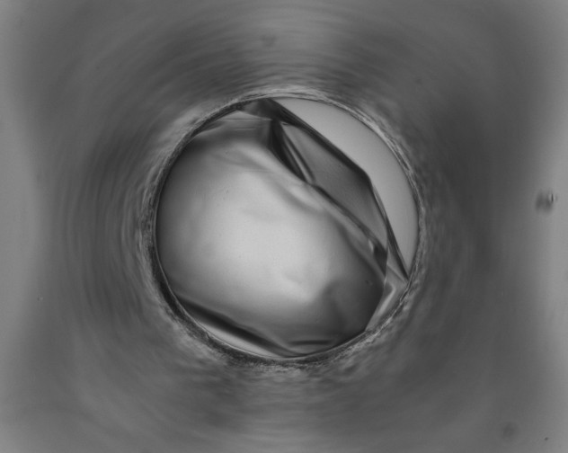 X0000091920193200709261650