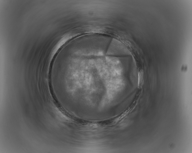 X0000091920195200709261650