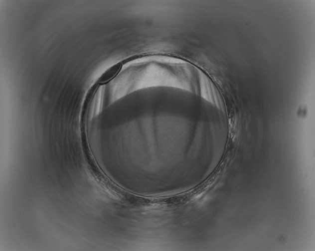 X0000091920196200709261649