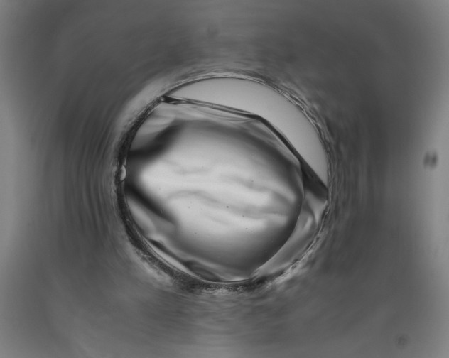 X0000091920197200709261649