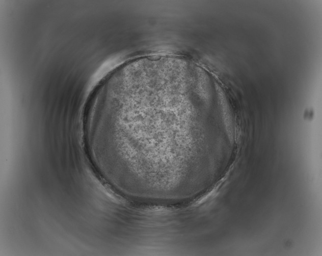 X0000091920198200709261649