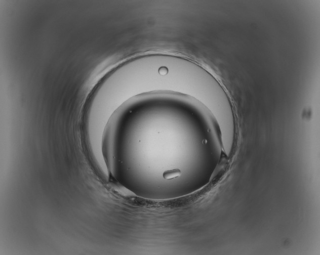 X0000091920199200709261649