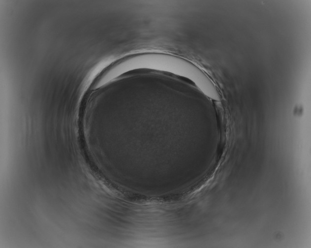 X0000091920200200709261649