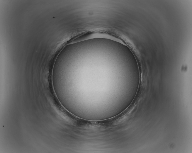 X0000091920201200709261649