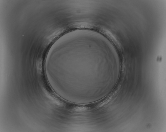 X0000091920202200709261649