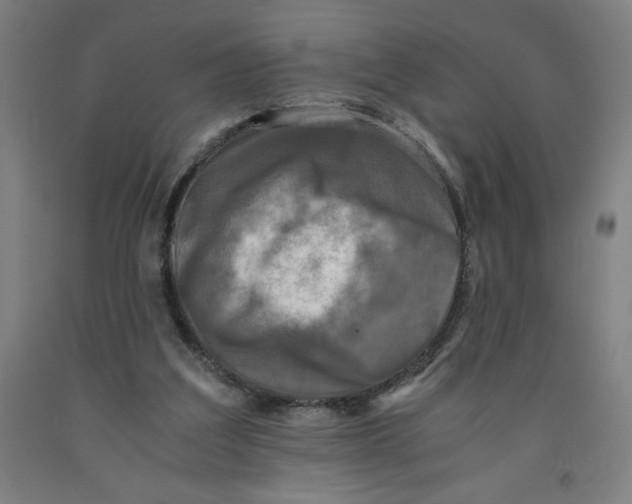 X0000091920203200709261649